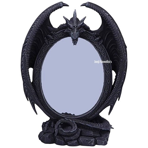 Scaled reflection dragon - reflection,